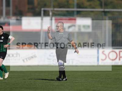 Bild-ID: 2309637
