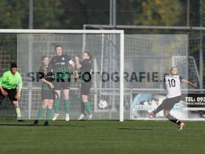 Bild-ID: 2309638
