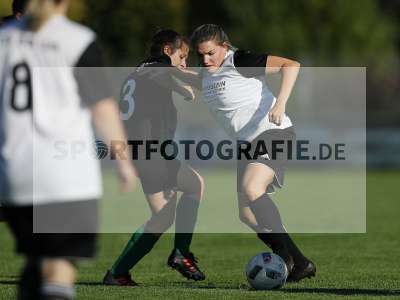 Bild-ID: 2309639