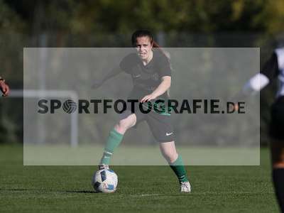Bild-ID: 2309641