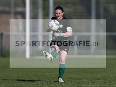 Bild-ID: 2309650