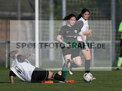 Bild-ID: 2309654