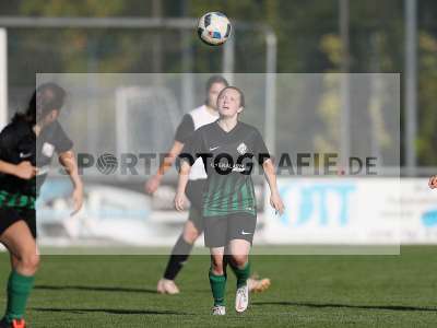 Bild-ID: 2309663