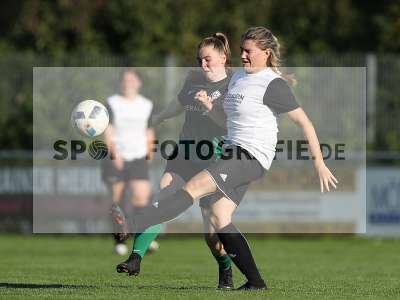 Bild-ID: 2309664