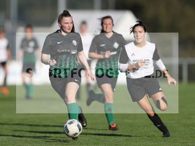 Bild-ID: 2309666