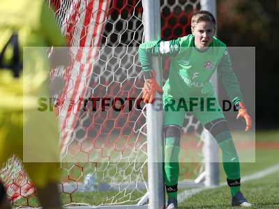 Bild-ID: 2309827