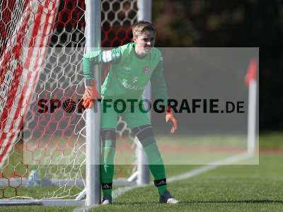 Bild-ID: 2309828