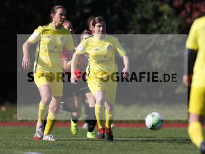Bild-ID: 2309874