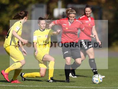 Bild-ID: 2309885