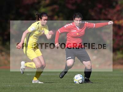 Bild-ID: 2309899