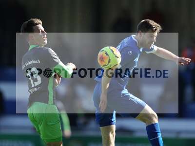 Bild-ID: 2311356