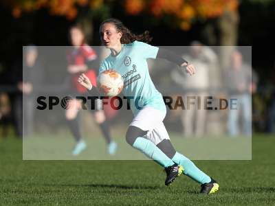 Bild-ID: 2311463