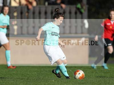 Bild-ID: 2311540