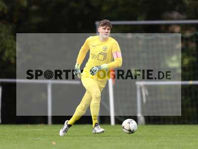 Bild-ID: 2311613