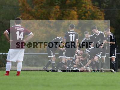 Bild-ID: 2311794