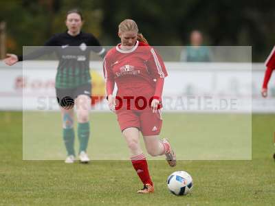 Bild-ID: 2311833