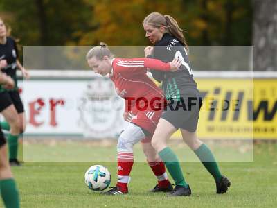 Bild-ID: 2311837