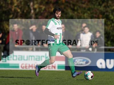 Bild-ID: 2312277