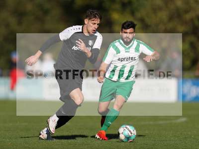 Bild-ID: 2312287