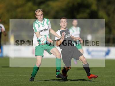 Bild-ID: 2312289