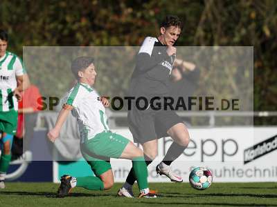 Bild-ID: 2312293