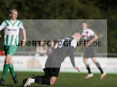 Bild-ID: 2312296