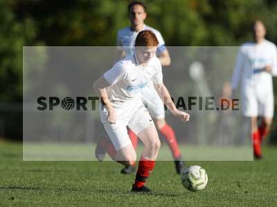 Bild-ID: 2312342