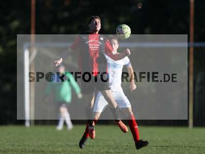Bild-ID: 2312347