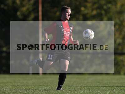 Bild-ID: 2312348