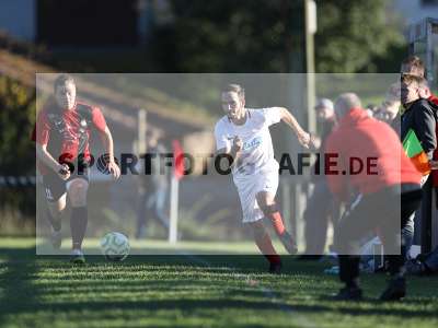 Bild-ID: 2312361