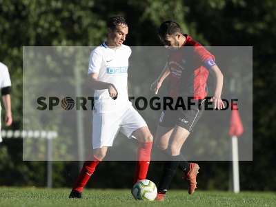 Bild-ID: 2312365