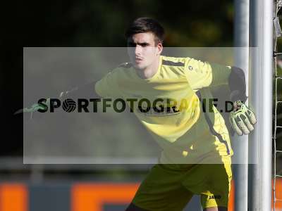 Bild-ID: 2312401