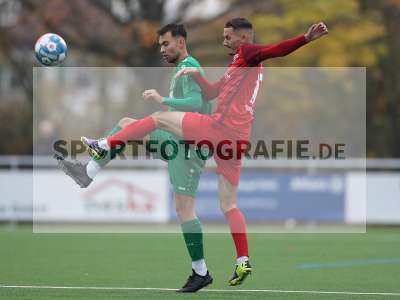 Bild-ID: 2312602