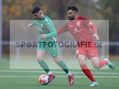 Bild-ID: 2312610