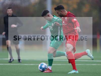 Bild-ID: 2312611