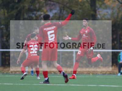 Bild-ID: 2312618