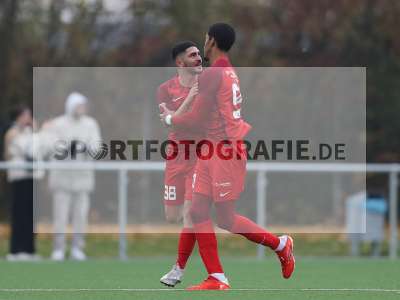 Bild-ID: 2312619