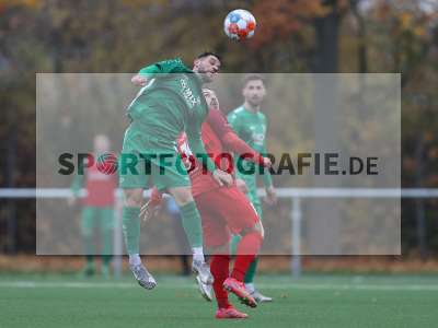 Bild-ID: 2312627