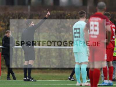 Bild-ID: 2312634