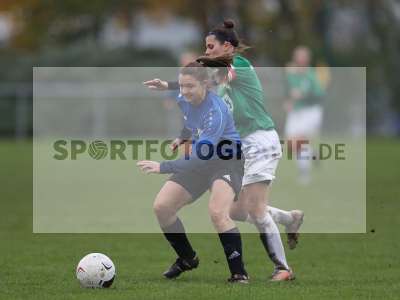 Bild-ID: 2312678