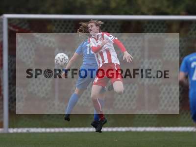 Bild-ID: 2314520