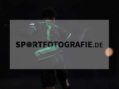 Bild-ID: 2315182
