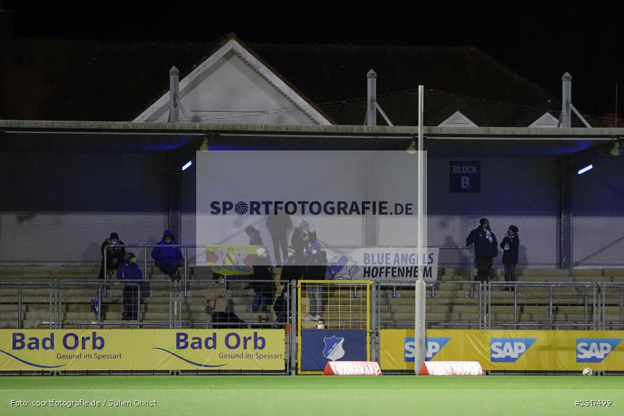Blue Angels, Fanclub, Dietmar-Hopp-Stadion, Sinsheim, 04.02.2022, DFB, sport, action, Februar 2022, Saison 2021/2022, FLYERALARM Frauen-Bundesliga, FFBL, FCK, TSG, 1. FC Köln, TSG 1899 Hoffenheim - Bild-ID: 2317499