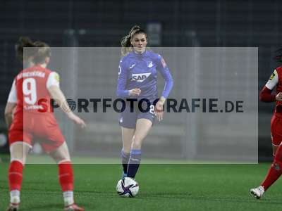 Bild-ID: 2317344