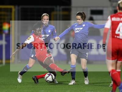 Fotos von TSG 1899 Hoffenheim - 1. FC Köln auf sportfotografie.de