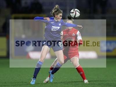Bild-ID: 2317395