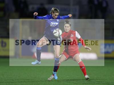 Bild-ID: 2317396