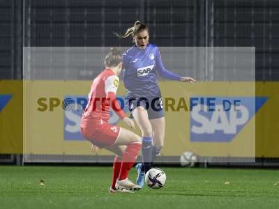 Bild-ID: 2317481