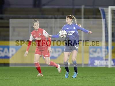 Bild-ID: 2317547