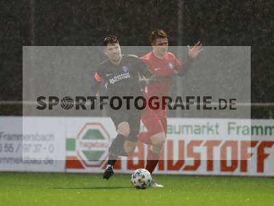 Bild-ID: 2317654
